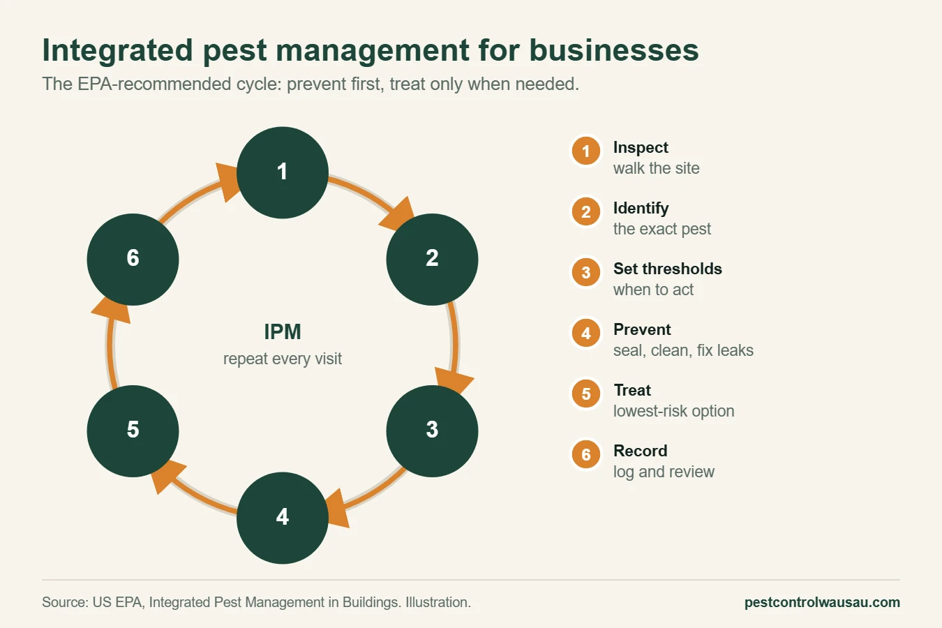 Diagram of the integrated pest management cycle for businesses: inspect, identify, set thresholds, prevent, treat and record