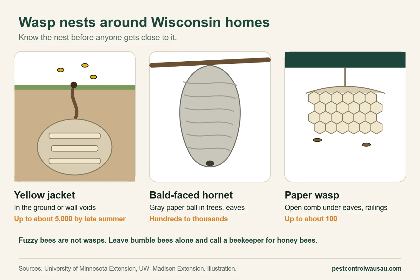 Diagram comparing a yellow jacket ground nest, a bald-faced hornet nest and a paper wasp nest