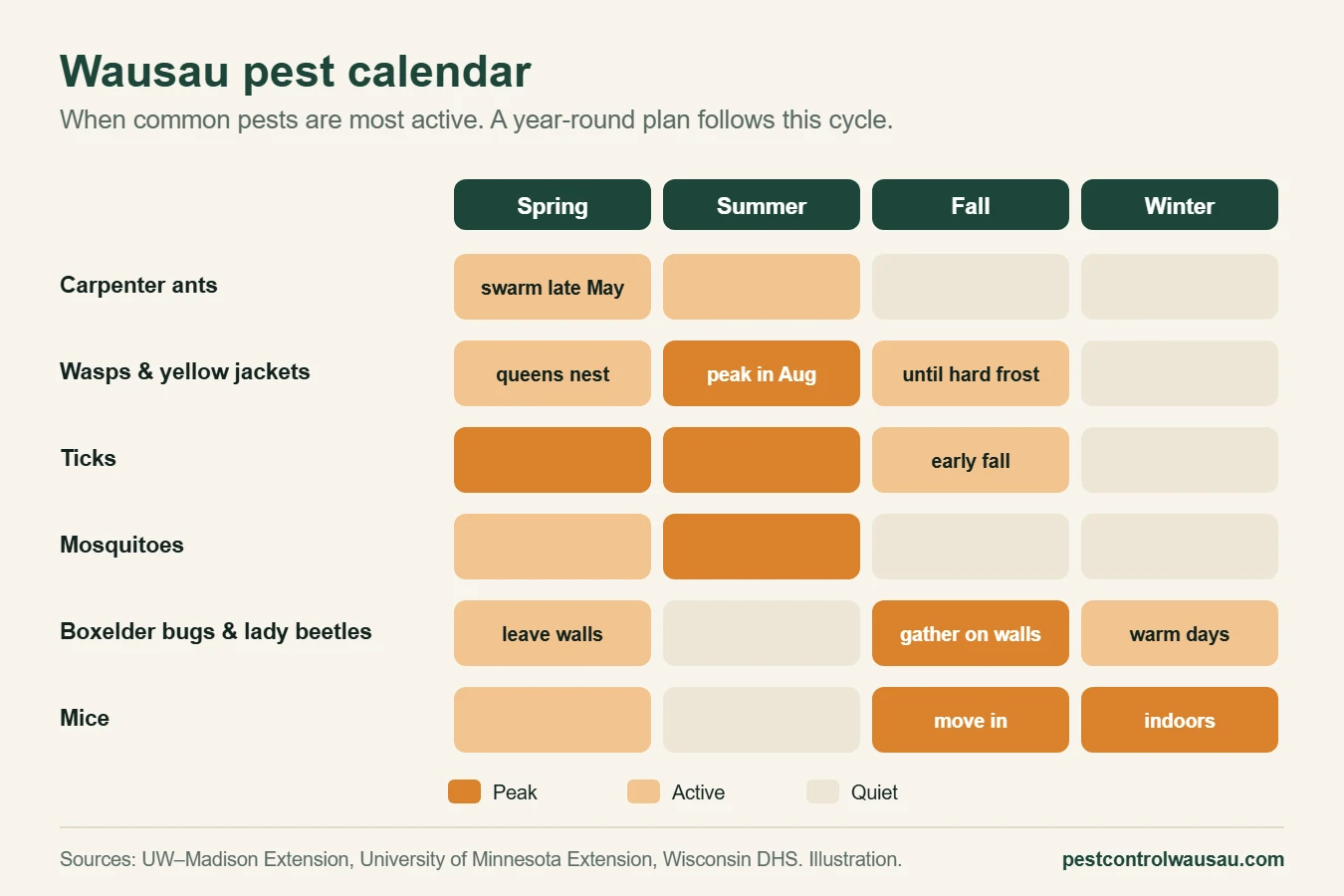 Wausau pest calendar showing when carpenter ants, wasps, ticks, mosquitoes, boxelder bugs and mice are most active by season