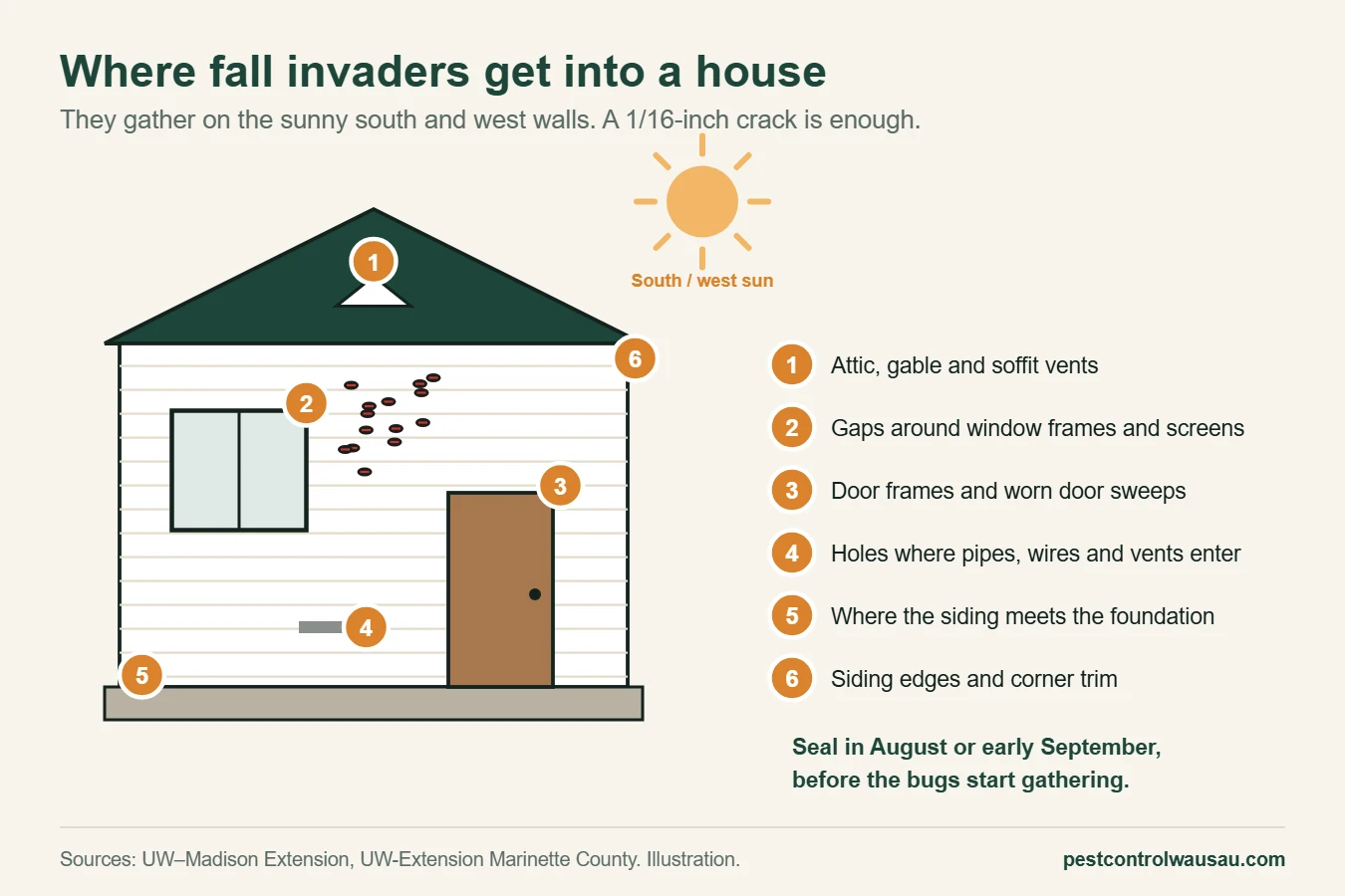 Diagram of the gaps on a sunny house wall where boxelder bugs and lady beetles get in