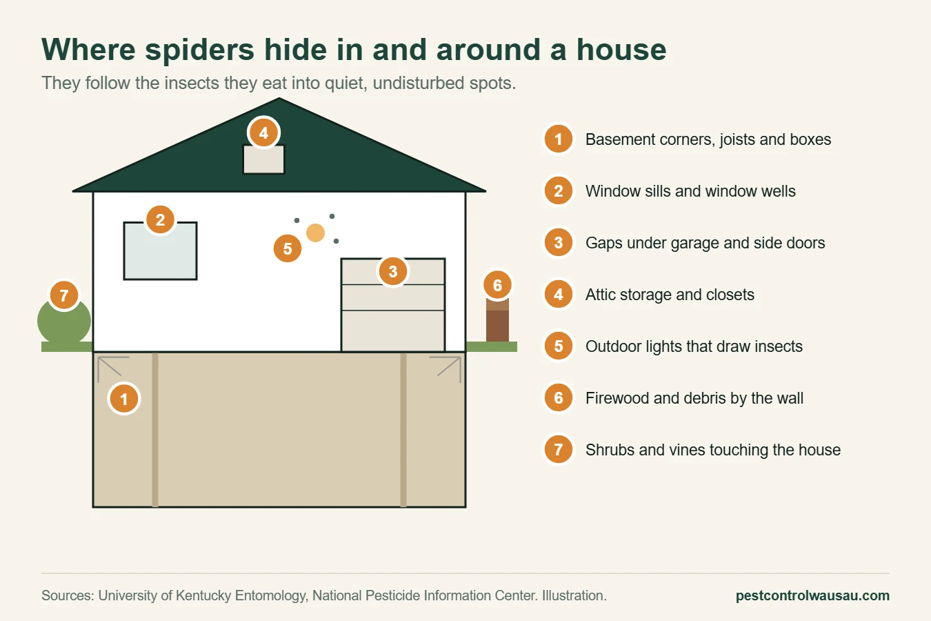 Diagram of the places spiders hide in and around a house, from the basement to outdoor lights
