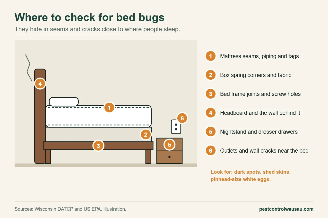 Diagram of where to check for bed bugs: mattress seams, box spring, bed frame, headboard and nearby furniture